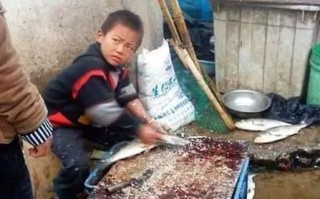 17岁网红男孩“杀鱼弟”喝下剧毒农药自杀背后故事令人心酸