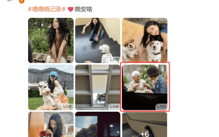 热搜第一！演员卢昱晓就发布《给阿嬷的情书》屏摄LIVE图道歉